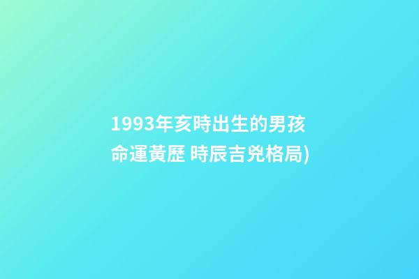 1993年亥時出生的男孩命運(2018年01月03日(農歷十一月十七日)黃歷 時辰吉兇格局)-第1張-觀點-玄機派